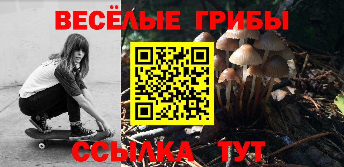 Галлюциногенные грибы MAGIC MUSHROOMS Усть-Лабинск